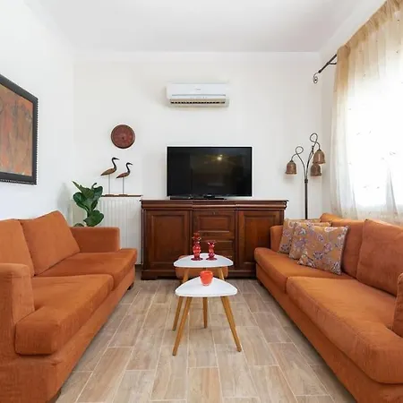 Vini * Città di Zante